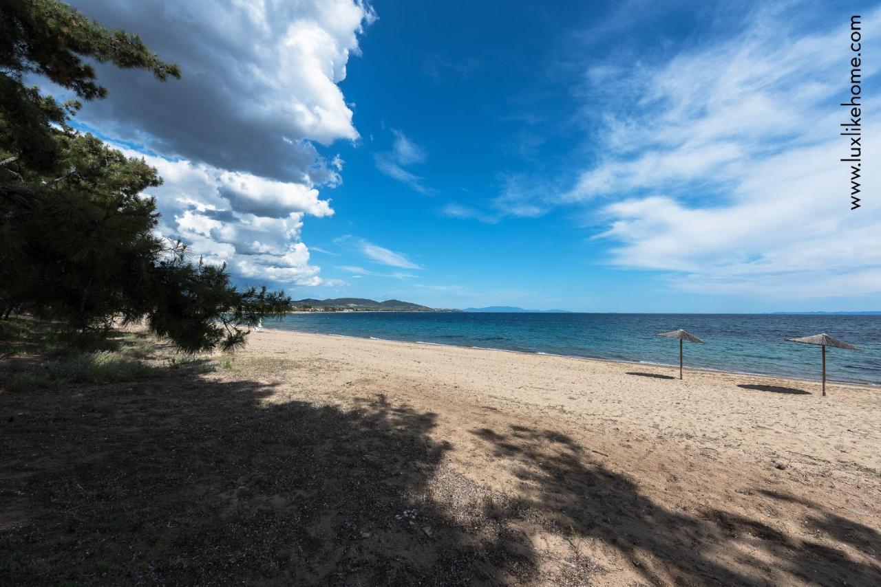 #Luxlikehome - Mediterranee Beachfront Summer House Kalyves Polygyrou Exterior foto